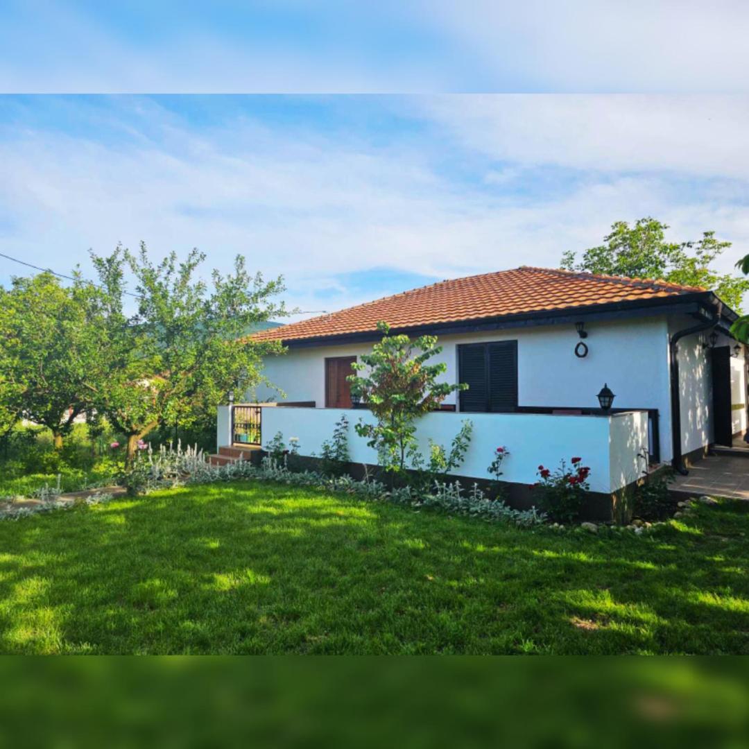 House Milovanovic Сокобаня Экстерьер фото