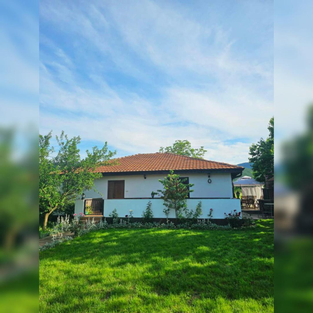 House Milovanovic Сокобаня Экстерьер фото